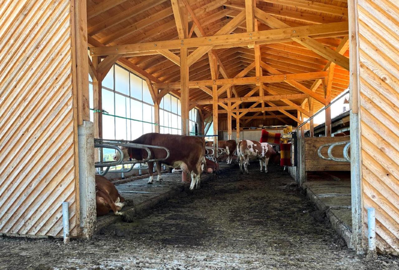 Landgasthof Blasini - Pfahlhof Zandt Exteriör bild
