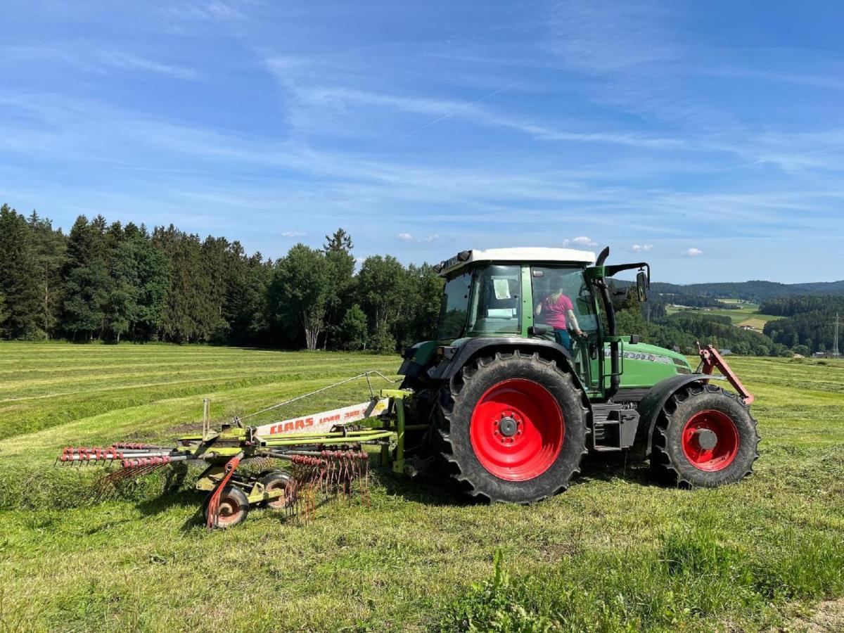 Landgasthof Blasini - Pfahlhof Zandt Exteriör bild