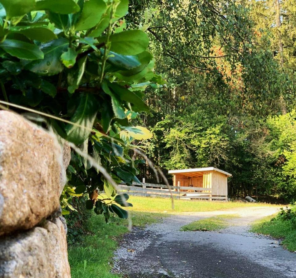 Landgasthof Blasini - Pfahlhof Zandt Exteriör bild