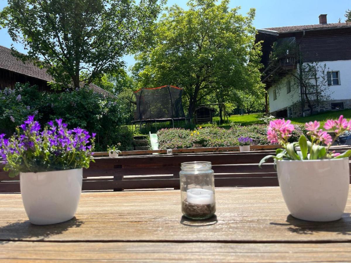 Landgasthof Blasini - Pfahlhof Zandt Exteriör bild