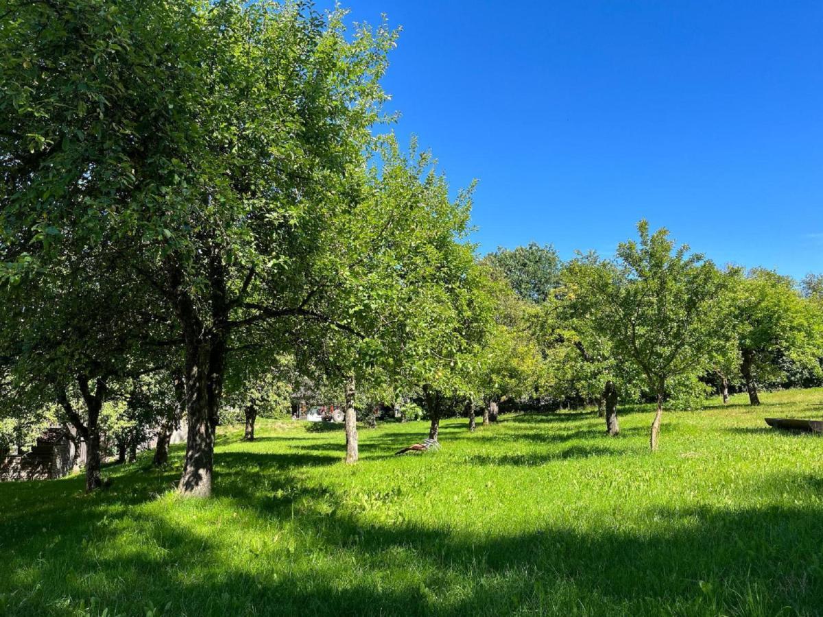 Landgasthof Blasini - Pfahlhof Zandt Exteriör bild